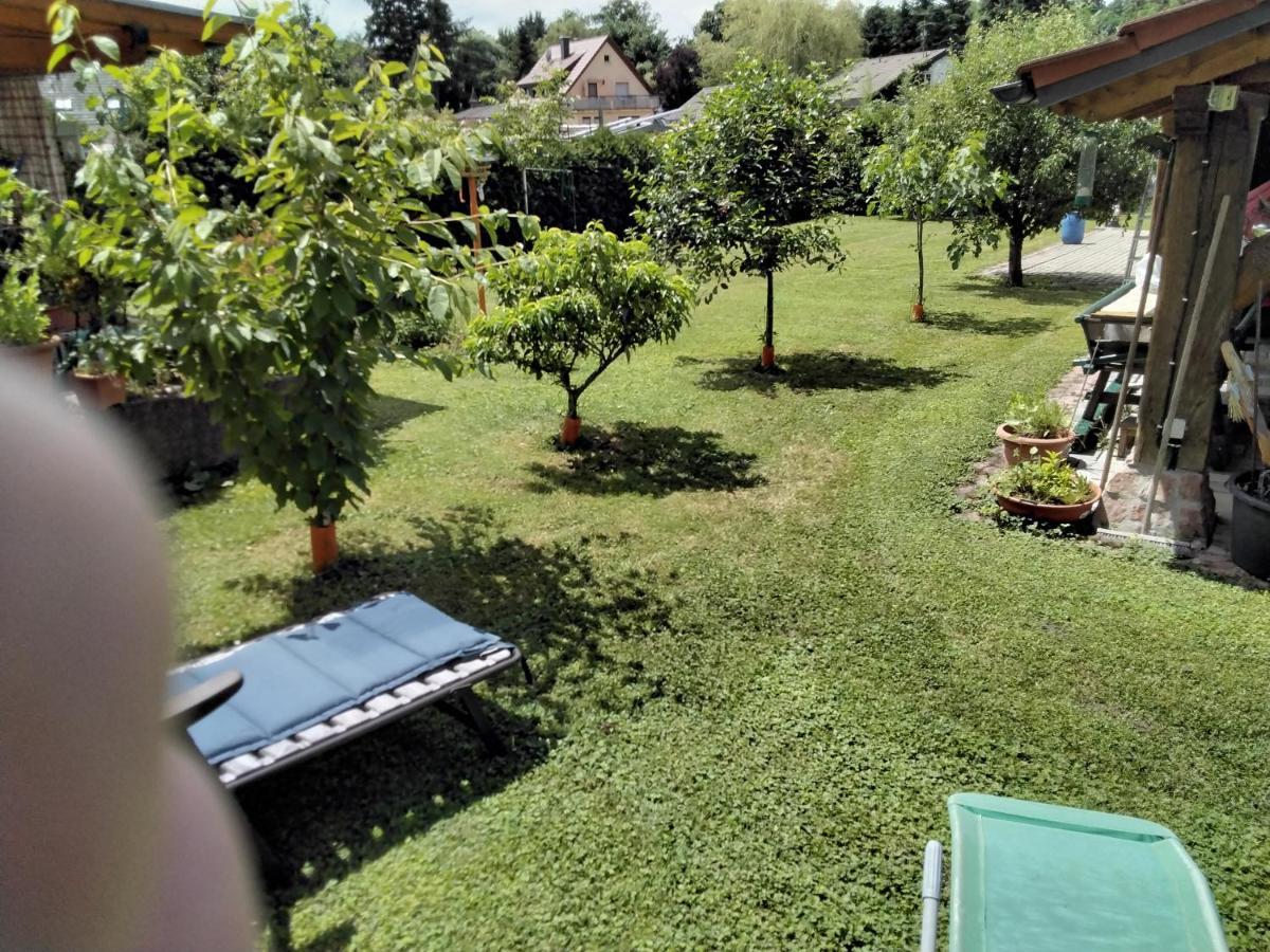 Fewo Jehle Rust Süd Exteriér fotografie